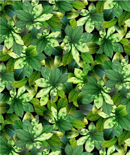 Remnant 36 X 112 Cm Packed Green Leaf Fabric By Michael Miller