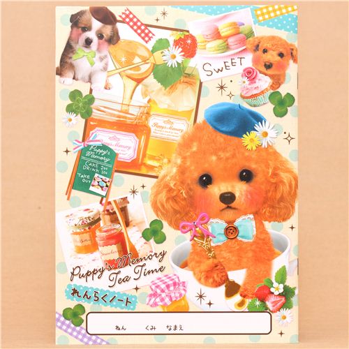 Puppy training plan image