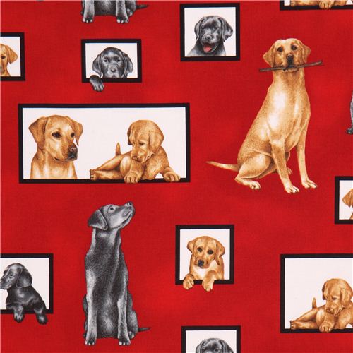 red dog fabric Robert Kaufman Curious Canines Fabric by Robert Kaufman