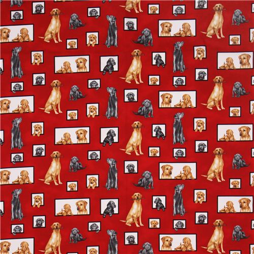 red dog fabric Robert Kaufman Curious Canines Fabric by Robert Kaufman