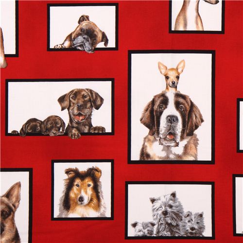 red dog frames fabric Robert Kaufman Curious Canines Fabric by Robert