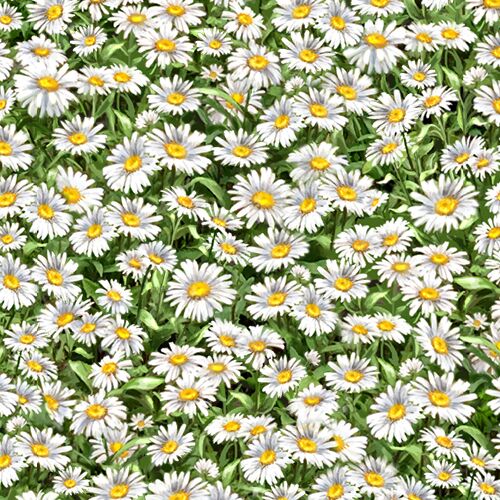small daisy garden fabric by Timeless Treasures - modeS4u