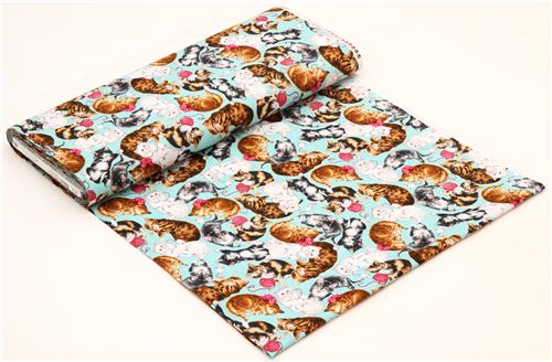 turquoise cat animal fabric Robert Kaufman Whiskers & Tails 3