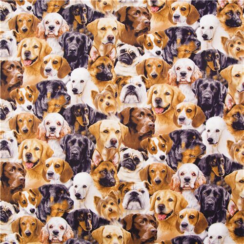 sewing animal pet fabric Dog fabric cotton quilting fabric Packed dogs puppy fabric adorable dog