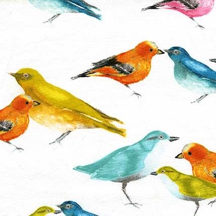 white bird tissu s�rie animaux with colorful birds Michael Miller 1