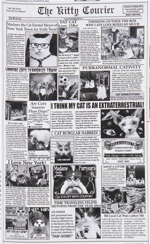 newspaper cat